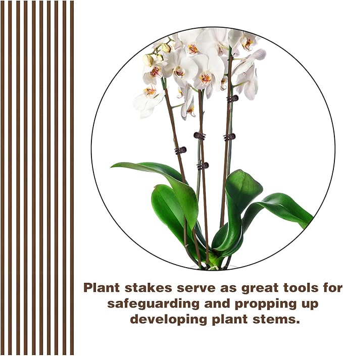 10Pcs Plant Support Stakes with 15Pcs Plant Clips, 15.75inch Tall Bendable Single Stem Sticks Orchid Clips Brown Helps Growth for Indoor Outdoor Flowers Rose Amaryllis