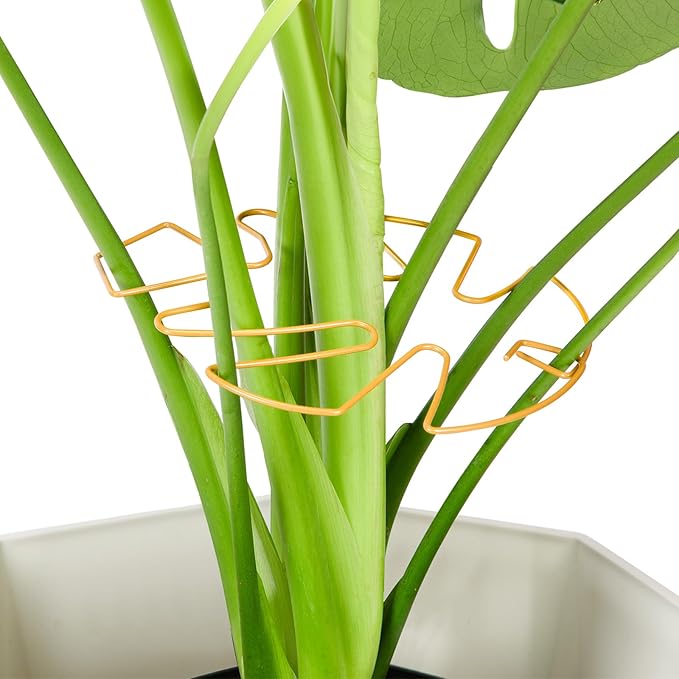 6PCS Iron Monstera Plant Support, Uniquely Designed Indoor Plant Accessories, Stable Plant Support Stakes for Indoor Plant, Turtle Shell Bamboo Clamp Set for Thriving Growth