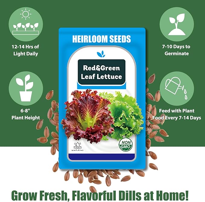Lettuce Seed Pods Kit for Hydroponic, 12 Pods Red&Green Leaf Lettuce Grow Anything Kit for Indoor Hydroponics Growing System, Hydroponics Supplies with 12 Grow Sponges, 12 Plant Baskets