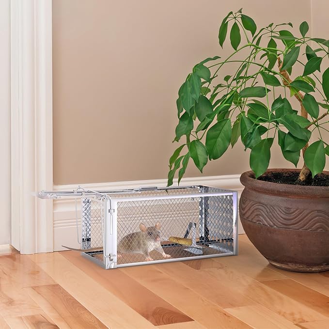 Humane Rat Trap, Single Door Metal Mouse Cage Traps and Other Small Live Animals Cage, Easy to Catch and Release, Work for Indoor Outdoor