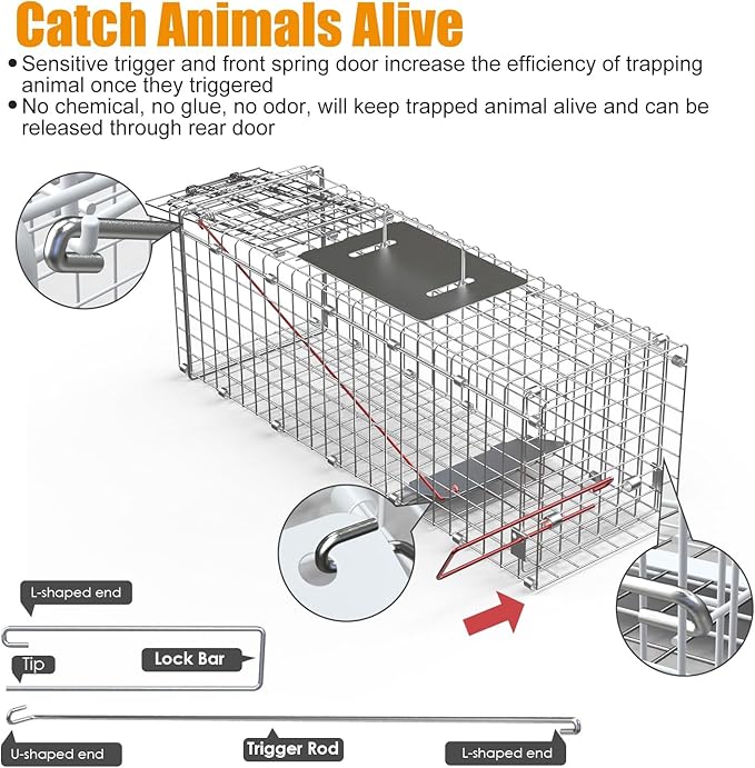 iMounTEK Humane Live Animal Cage Trap Cat Trap Cage Humane Catch & Release Live Rodent Collapsible Galvanized Wire for Kitten Rabbit Squirrels Small Raccoons Beavers Groundhogs Indoor Outdoor