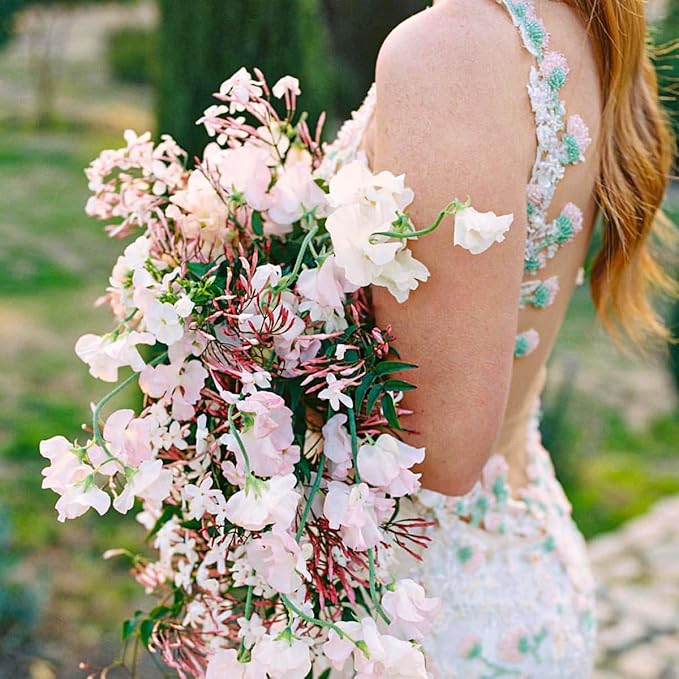 Pink Jasmine Vine - Jasminum Polyanthum - Fragrant & Blooming, Perfect for Indoor/Outdoor Decor (4 Pink jas Cups)