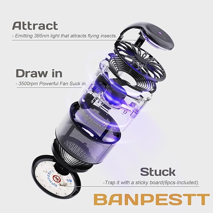 BANPESTT Indoor Insect Trap-Catcher & Killer with Suction for Mosquitos, Gnats, Moths, Fruit Flies, Dusk-to-Dawn Sensor, Bug Light & 6 Sticky Glue Boards (Black)