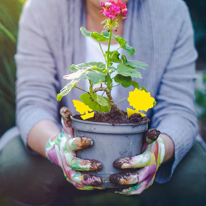 120 Pack Fruit Fly Trap for Indoors, Fungus Gnat Killer Indoor Sticky Traps for Mosquito and Flying Insects, Bug Pest Insect Catcher Killer for Houseplant Non-Toxic