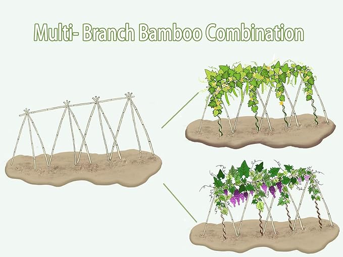 Plant Bamboo Post,5Feet,Bamboo Garden Stakes,50PcsBamboo Stakes,for Tomato,Beans,Vegetable and Flowers, Potted Plants,Indoor and Outdoor Climbing Plants