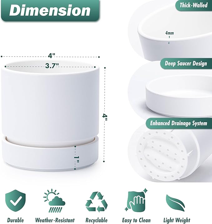 Phoenix Vine 4 Inch Planter Pot with Drainage Hole & Saucer, Deep Water Catch Tray, Straight Cylindrical Round Pot for Plants, Matte White, Pack of 4, 23-B-R-4