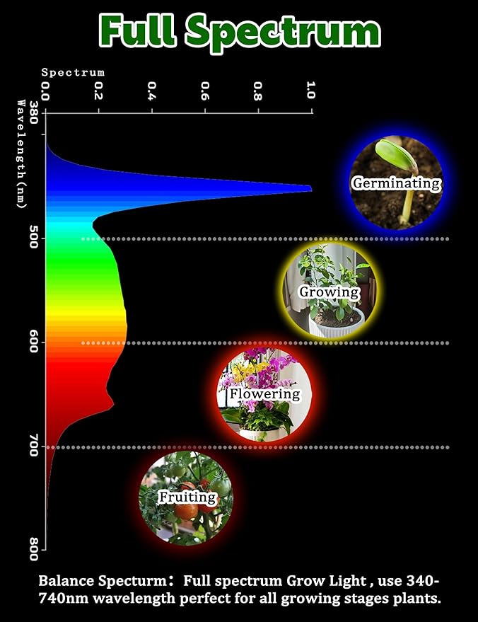 5000K Red Blue Full Spectrum A19 LED Grow Light Bulbs, E26 12W Sun Plant Light Bulb 100w Equivalent, Balanced Spectrum for Flowers, Seed Starting, Indoor Growing, Greenhouse, 2pack