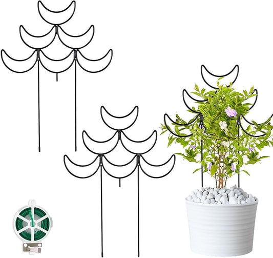 Indoor Plant Trellis 2 Pack Small Metal Climbing Plants Support for Outdoor Garden Potted Flowers Houseplant Ivy Vines Hoya