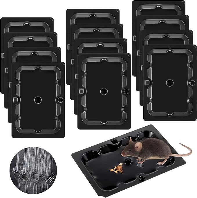 Qualirey 12 Pack Mouse and Insect Glue Traps, Strong Sticky Mice Traps Indoor for Home, Pre Scented Rodent Pads with Non Toxic Glue for House Garage, Ready to Use, Safe to Children and Pets (Black)