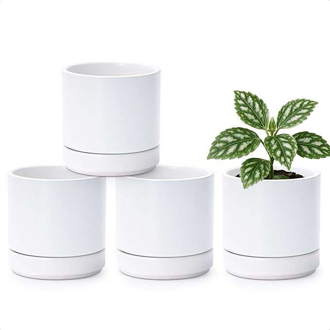 D'vine Dev Set of 4 Small Ceramic Plant Pots, 4.7 Inch Succulent Planter Pot for Plants with Drainage Hole and Saucer, White, 94-X-B-1