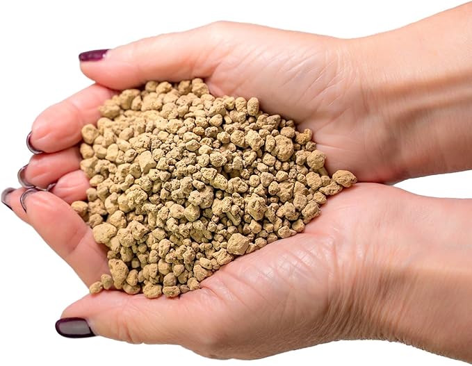 Premium Anthurium Soil Mix - Perfect Blend for Thriving Anthurium Plants - 1 Quart