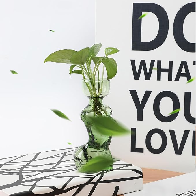 Propagation Vases for Plants Plant Propagation Jars Unique Body Avocado Vase Glass Planter Perfect for Seed Starting Water Rooting and Home Decor Gift for Father