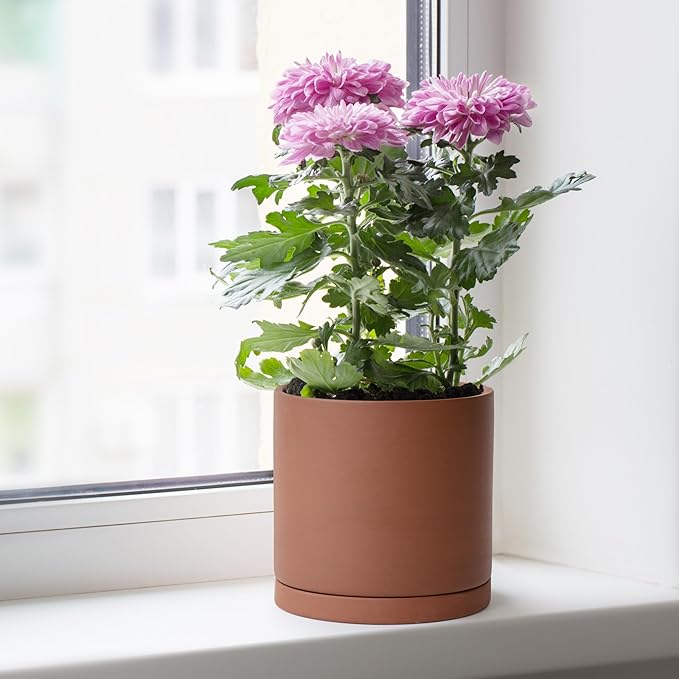 D'vine Dev 6 Inch Rust Terracotta Plant Pot with Drainage Hole and Saucer, Round Cylinder Planter Pot for Indoor Plants, 40-V-C-3