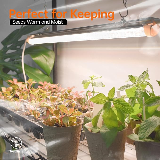 Indoor Greenhouse with Grow Light, Mini Green house with 4 Pack 24W Full Spectrum Plant Lights with Timer, Plant Shelf with Tent for Indoor Plant, Seed Starting, Seed Tray, 23.5"x13.8"x59"