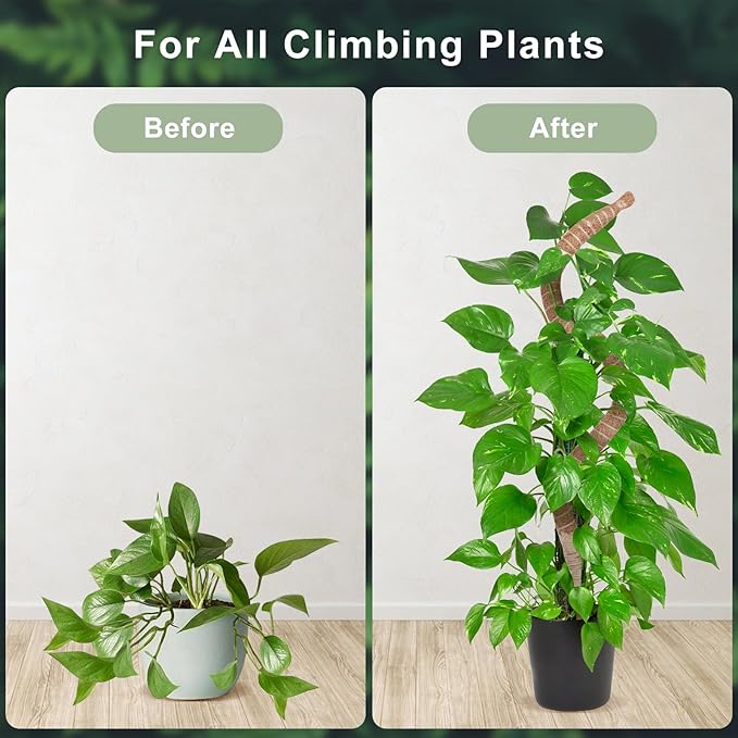 60 Inch Moss Pole, Bendable Moss Pole for Plants Monstera, Tall Moss Poles for Climbing Plants Indoor, Large Support, Garden Trellis Stick Stakes for Plants