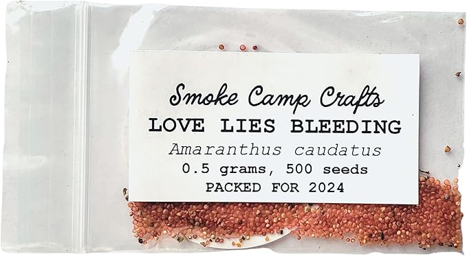 Organic Love Lies Bleeding Seeds (Amaranthus caudatus) 500 Seeds (0.5 Grams) - Foxtail Amaranth, Love-Lies Bleeding, Tassel Flowe, Velvet Flower, Gorgeous Unique Cut Flower by Smoke Camp Crafts