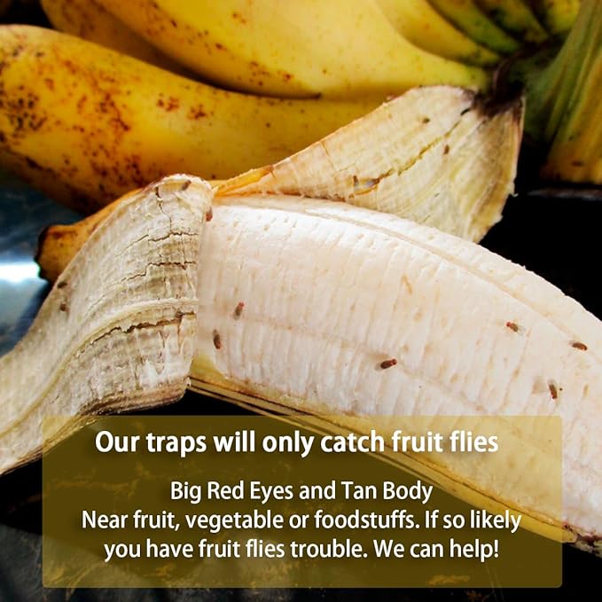 6 Pack Reusable Fruit Fly Trap, Non-Toxic Fruit Fly Catcher, Safe for Kids and Pets Fruit Fly Control, Trap for Alive Fruit Flies, Easy to Use for Kitchen, Home