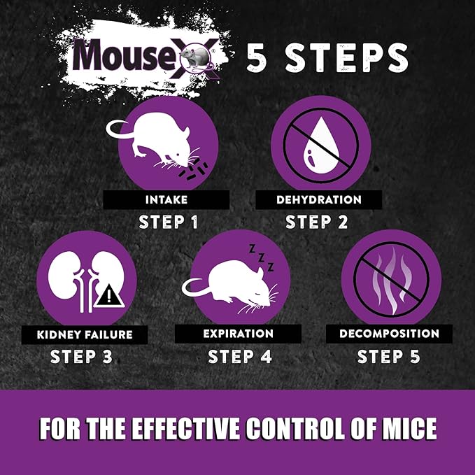 MouseX Throw Packs- for All Species of Rats Mice Safe Around Pets
