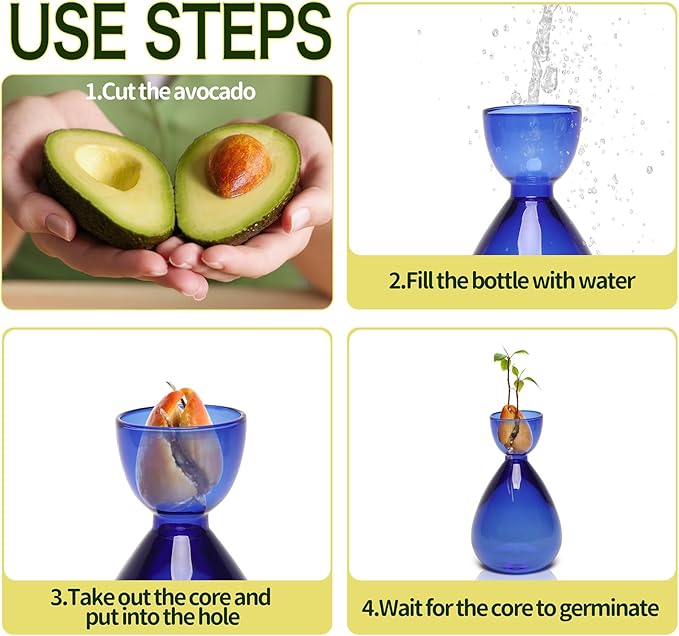 Avocado Vase Avocado Seed Starter Vases Avocado Trees Live Plants Growing kit Glass 2pc