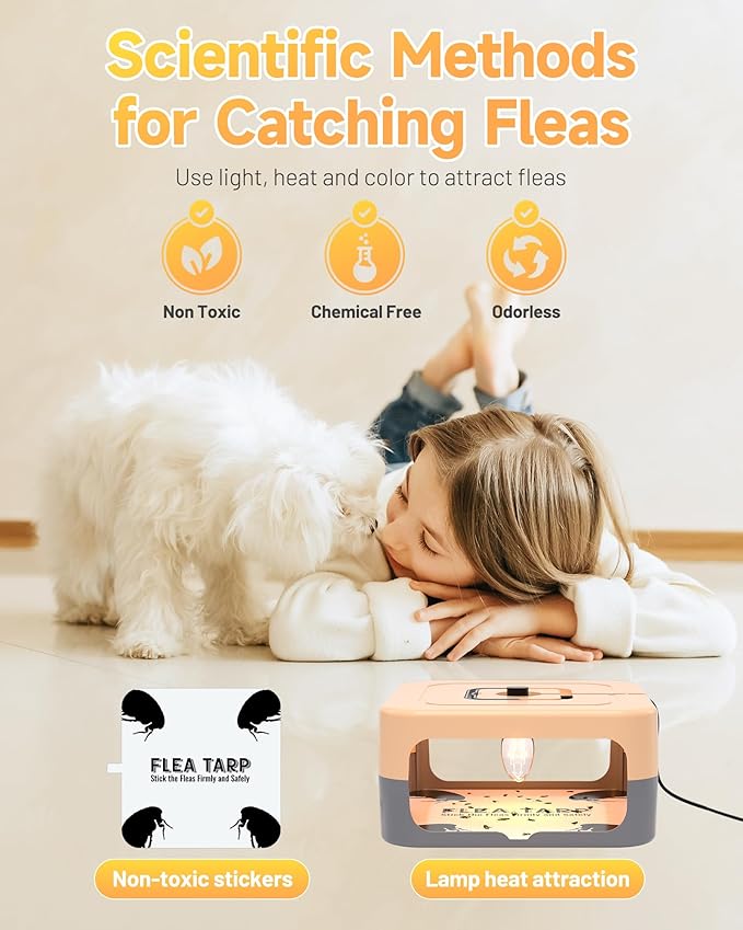 2 Pack Flea Traps for Inside Your Home, Flea Light Traps for Home Indoor with 4 Bulbs and 8 Sticky Discs, Bed Bug Trap Safe to Pets and Kids