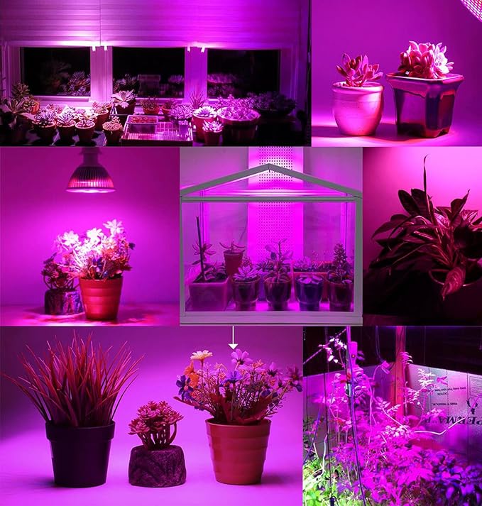 Full Spectrum 50W Led Plant Grow Light Bulb for Indoor Plants Vegetables and Seedlings, LED Plant Light Bulb for Hydroponics Indoor Garden Greenhouse and Organic Soil,E27 78LED Plant Lights,Pack of 2