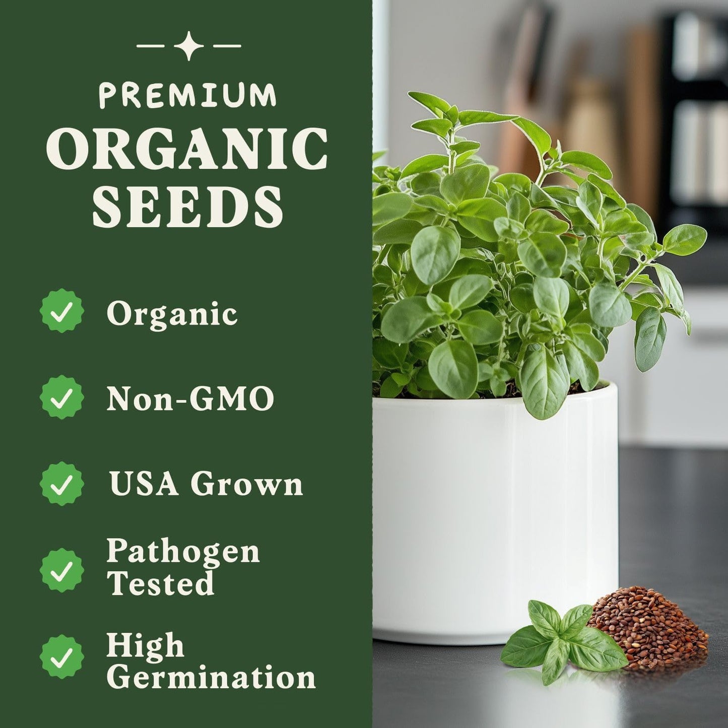 Seedboy Organic Oregano Seeds for Planting Indoor and Outdoor, Non-GMO and USDA Certified Herb Seed Packet for Hydroponic Garden Indoor or Planting Outdoors (Italian Oregano)