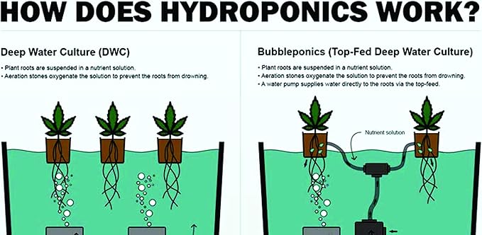The Atwater HydroPod - DIY Add Your Own Bucket KIT - DWC Deep Water Culture Hydroponic Garden System - Bubble Bucket - No Nutrients, No pH Version - Bucket Not Included Save $$