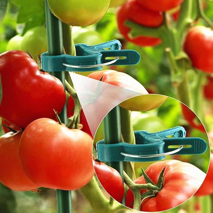 Plant Support Clips, 80 PCS Gentle Flower Plant Clamps for Supporting Vine Climbing Plants Plant Clips Garden Clips for Tomato Cage 2 Sizes in one Pack