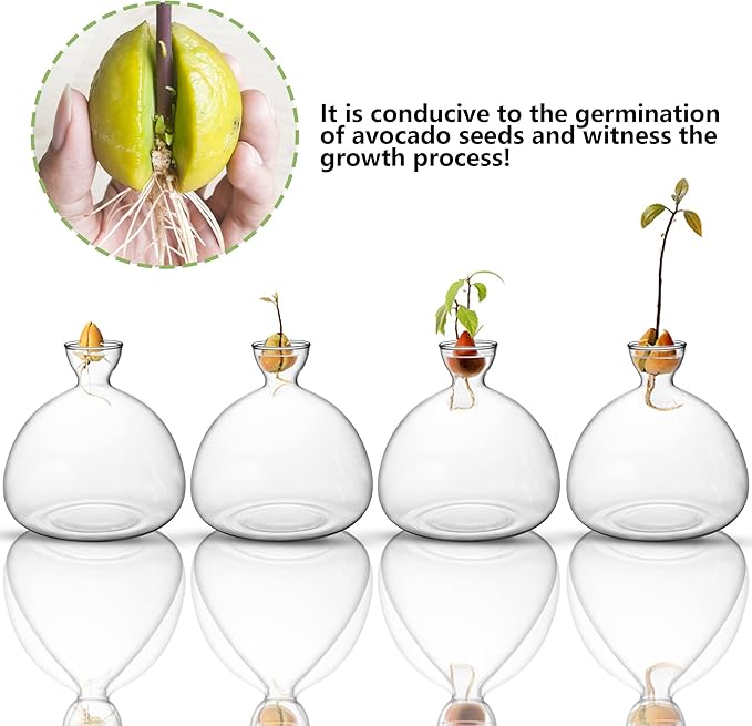 Avocado Tree Growing Kit,Avocado Seed Starter Vase,Glass Plant Pot with Avocado Stickers,Plant Indoor Grow Gardening Gifts