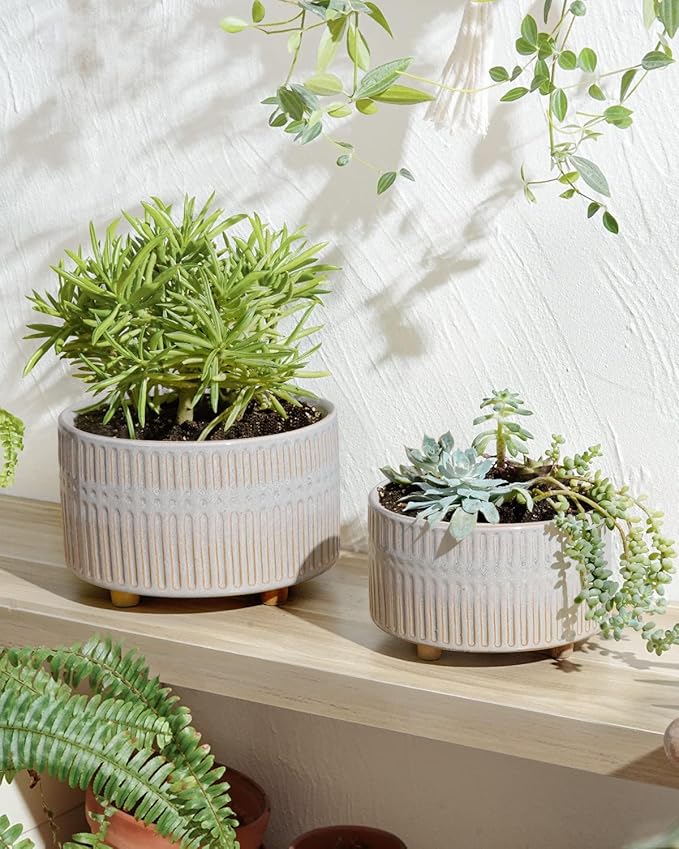 LE TAUCI Succulent Pots, 6.5+8 Inch Ceramic Indoor Plant Pot with Drainage Hole, Shallow Round Succulent Planters, Set of 2, Reactive Glaze Star White