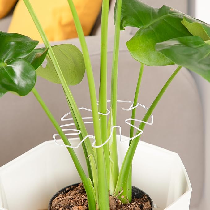 6PCS Iron Monstera Plant Support, Uniquely Designed Indoor Plant Accessories, Stable Plant Support Stakes for Indoor Plant, Turtle Shell Bamboo Clamp Set for Thriving Growth
