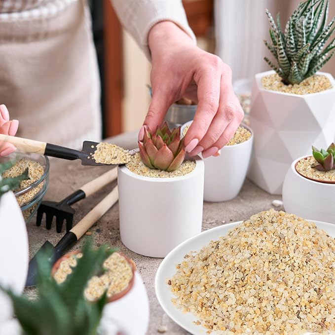 Coarse Silica Sand - 10LB - Gravel for plants - Horticultural Sand - Potting Sand Bonsai Cactus & Garden Sand Grit - Terrarium and Plant Sand Soil - Gardening Landscape Sharp Rocks Succulent Stones