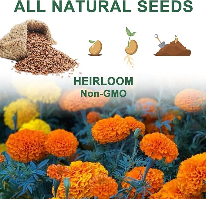 Strawberry Seed Pod Kit, 8 Pod Kit (Include Seed Marigold/Dwarf Sunflower/Shameplant/Cherry Tomato/Strawberry) Seed Pod Kit Compatible with All Indoor Hydroponics