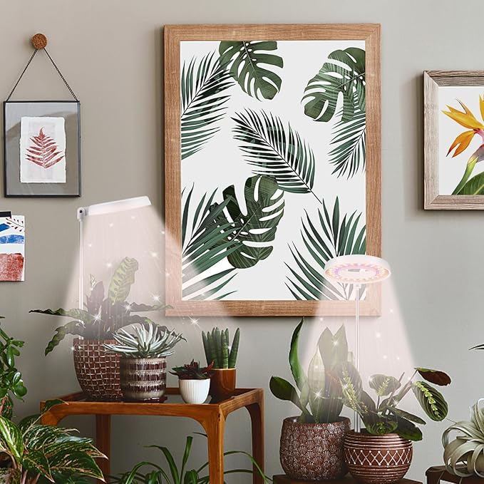 GooingTop LED Grow Light, Halo Plant Growing Lamp for Indoor Plants Growth, White Full Spectrum Low Light for Small Plants,Upgrade Timer 4/8/12/18 Hrs & Variable Spectrum,2 Pack