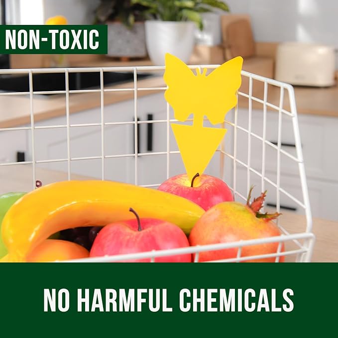 Garsum Fruit Fly Sticky Trap for Indoor and Outdoor, 36 Pack Fungus Gnat Killer for Houseplant,Mosquitos, Flying Insect, White Flies