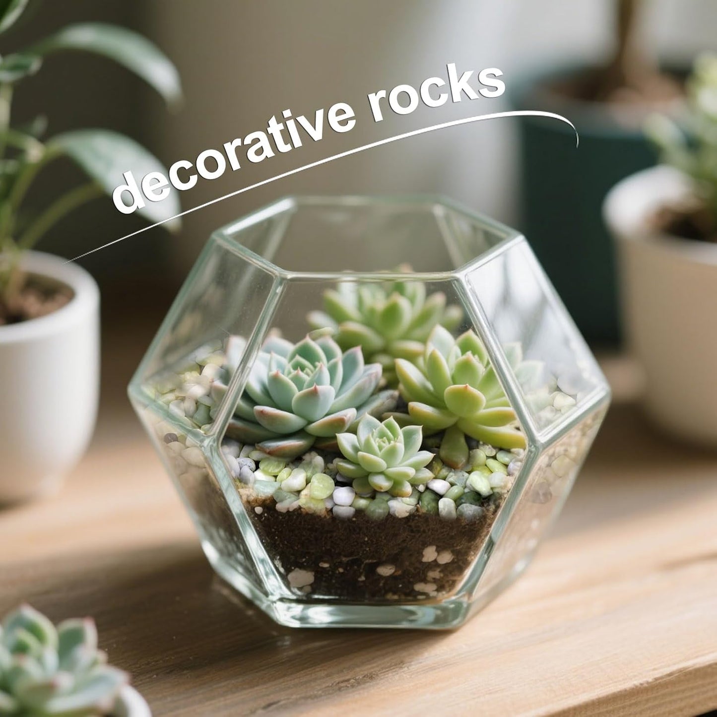 5lb 3/8 Inch Bamboo Pebbles for Indoor Plants, Lucky Bamboo Pot, Succulent, Vases, Cactus, Landscaping - Decorative Polished Plant Pebbles for Pots, Jade