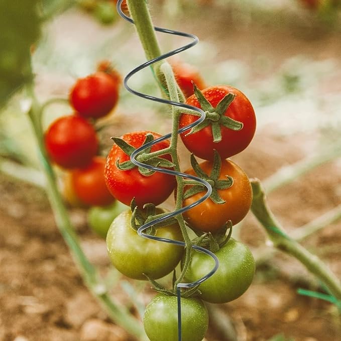 Tomato Twist Stake, Twisted Tomato Stakes Plant Supports, Tomato Cages Climbing Stake, Plant Support for Potted Plants Tomato Rose Vine, Plant Support Stakes for Potted Plants (5pcs)