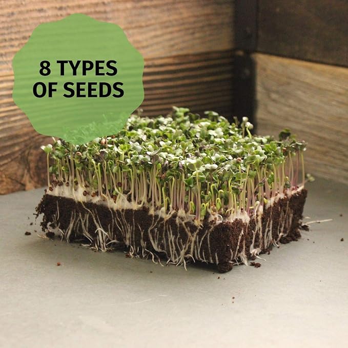 Hydroponic Sectional Microgreens Growing Kit - Grow Micro Greens & Herbs Indoor Gardening: All Supplies - Seeds, Trays, Instructions, Etc.