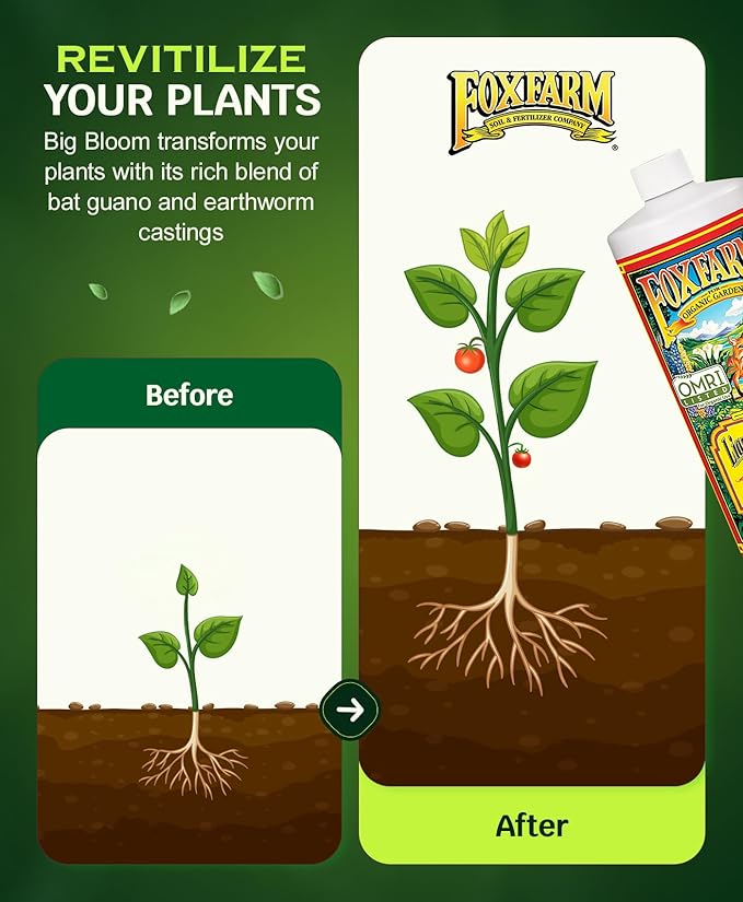 FoxFarm - Big Bloom Plant Food, Liquid Fertilizer Concentrate for Flowers, Fruits, and Vegetables, All Purpose Plant Fertilizer for Indoor & Outdoor Potted Plants, NPK 0-0.5-0.7 (Quart)
