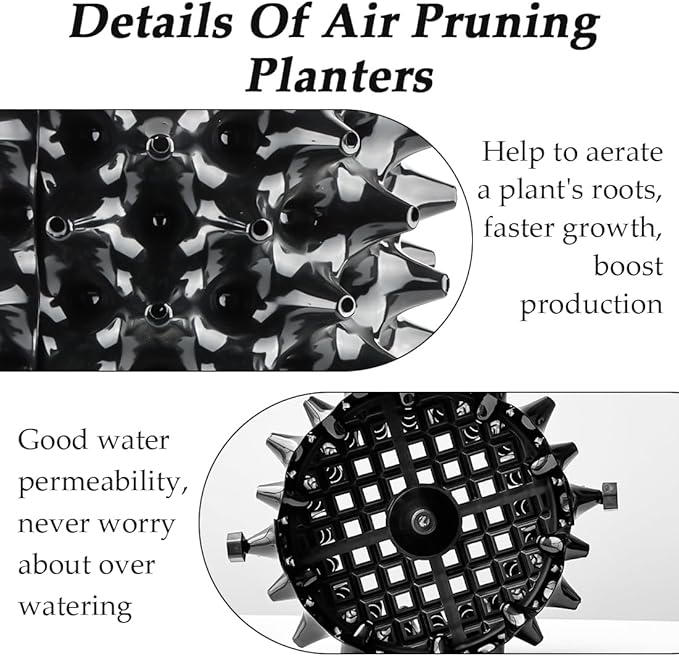 3 Gallon Air Pruning Container New Plastic Nursery Pot Fruit Vegetable Garden self-Planting pots, Size 10"x10", Black