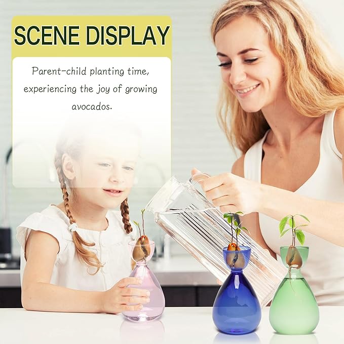 Avocado Vase Avocado Seed Starter Vases Trees Live Plants Growing kit Glass 2pc