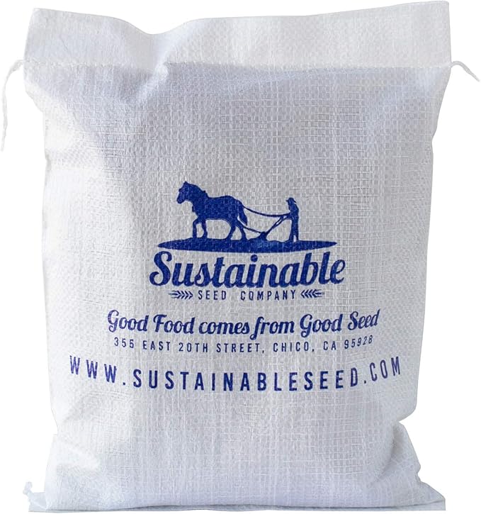 Organic Bush Blue Lake 274 Bean - 5 LB Bulk ~6,000 Seeds - Organic, Non-GMO, Open Pollinated, Heirloom, Vegetable Gardening Seeds