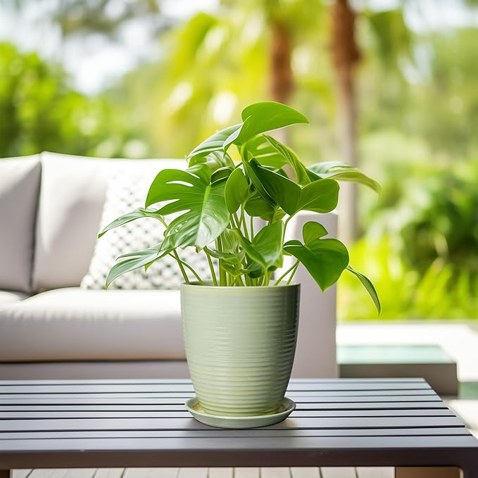 Ceramic Pots for Plants - Modern Round 8 Inch Planter with Drainage Hole and Plant Saucer for Flower Indoor Outdoor, Home Decor, House Warming Gifts, Green