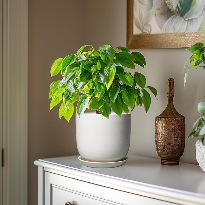 Ceramic Pot for Plants 7 Inch - Modern Round Indoor Outdoor Planter with Drainage Hole and Saucer, Home House Office Room Decor, White