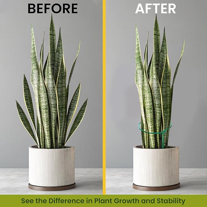 6 Pack Plant Support Stakes – Tall Plant Stakes for Indoor and Outdoor Gardens - Peony Cages and Supports - Cage Rings for Potted Flowers, Peony, Hydrangea, and Rose Bush (10" W x 16" - 24" H)