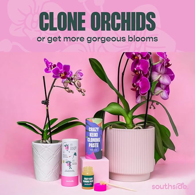 Keiki Cloning Paste by Southside Plants – Nutrient-Rich Paste for Orchids & Houseplants – Support New Development with Vitamins & Lanolin – 0.25oz