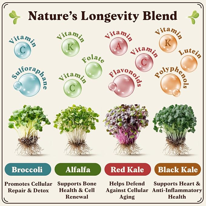 Seedboy Organic Sprouting Seeds - Longevity Blend- Non-GMO, USA Grown Microgreens Mix - Broccoli, Red Kale, Black Kale, Alfalfa - Makes Over 6 Quarts of Sprouts, 20 Servings (8 oz) (Longevity Blend)
