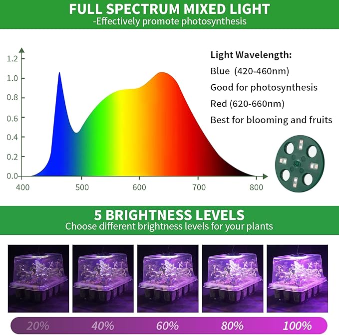 Seed Starter Tray with Plant Light, 2 Pack Grow Lights for Seed Starting Kit with Humidity Domes, Timing Controller Adjustable Brightness for Greenhouse Propagator Station Growing Transparent