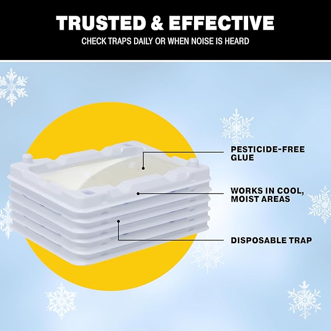 Catchmaster Freeze Resistant Glue Traps 6PK Mouse Traps Indoor for Home, Pest Control Adhesive Tray, Catch Bugs, Crickets, Spiders & Rats, Glue Boards for Cold Weather, House, Shed & Garage