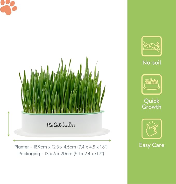 The Cat Ladies Hydroponic Cat Grass Growing Kit - Pet Grass Seed for Indoor Cats - Fast Growing Soil Free Catnip Plant Seeds to Grow Kitten Safe Plants - Just Add Water